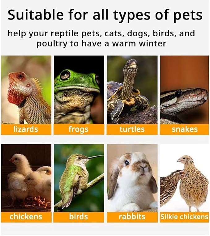 MANON ROSA Bird Cage Heater for Parakeets Chickens Parrots - Thermostatic Socket, No-Light Lamp with 2 Ceramic Bulbs (E27 110V) - Small Pet Winter Warming Equipment(25W&50W)