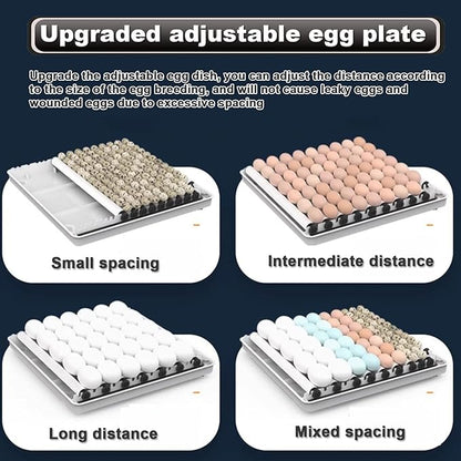 Home Incubator Egg Brooding Machine Chicken Incubator, 98 256 Eggs Incubator Automatic Turning and Hatching, Digital Incubator with Temperature Control,152,192