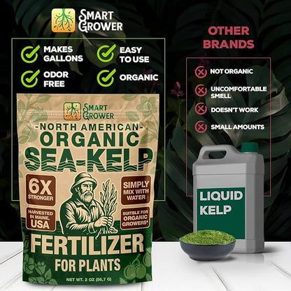 Organic Sea Kelp Fertilizer for Plants – Water-Soluble – Makes 50 Gallons – Kelp Meal Concentrate Plant Food – for Indoor Gardens, Hydroponics, Vegetables, Houseplants - Smart Grower - 2oz Bag