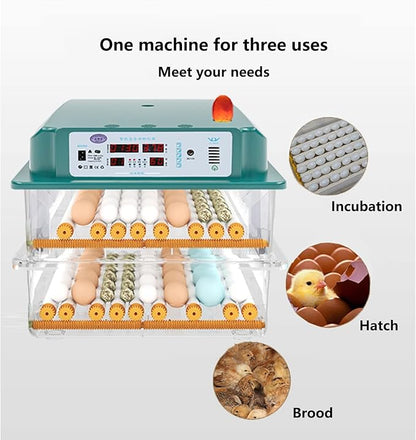 Egg Incubator, 12 Egg Incubator Digital with Temperature Control and Automatic Turning Chicken Poultry for Duck Goose Quail
