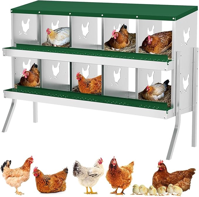 TrailBlaze 10 Compartment Chicken Nesting Box with Metal Legs, Chicken Egg Laying Boxes with Rollout Egg Collection, Large Vented Holes Chicken Coop for Chickens, Hens (Green)