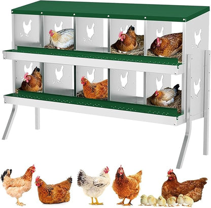 TrailBlaze 10 Compartment Chicken Nesting Box with Metal Legs, Chicken Egg Laying Boxes with Rollout Egg Collection, Large Vented Holes Chicken Coop for Chickens, Hens (Green)