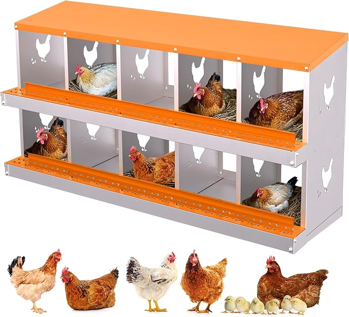 10 Compartment Metal Chicken Nesting Box, Automatic Roll-Out Egg Collection, Waterproof Galvanized Steel Laying Box, for Hens Ducks Rabbits, Orange