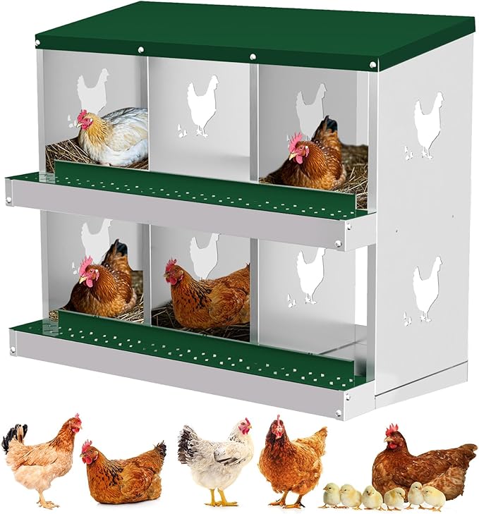 Chicken Nesting Box, Green 6 Hole Egg Laying Box, Suitable for Chickens & Ducks, Large Holes for Ventilation, Convenient for Picking up Eggs, Fully Galvanized