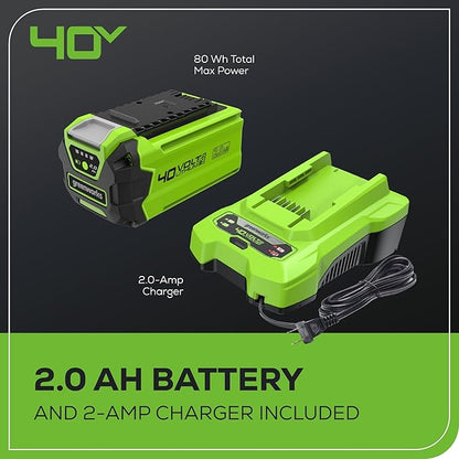 Greenworks 40V 8-Inch Cordless Polesaw, 2.0Ah Battery and Charger Included PS40B210