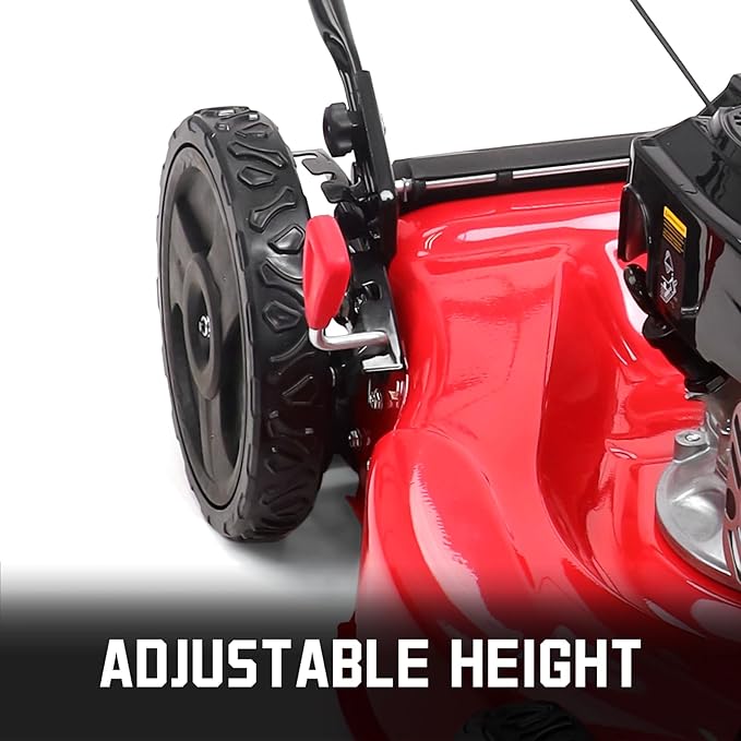 PowerSmart 21 in. Gas Lawn Mower with 125cc Briggs and Stratton E300 Engine, 2-in-1 Push Mower with Mulching & Side-Discharge