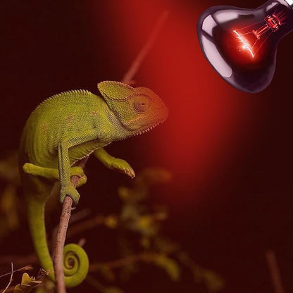 75W Infrared Basking Spot Light Bulbs – Ideal for Reptiles & Amphibians Like Bearded Dragons, Snakes, Turtles & Lizards; Red Heat Lamp for Pet Brooders, Terrariums & Turtle Tanks | 2 Pack