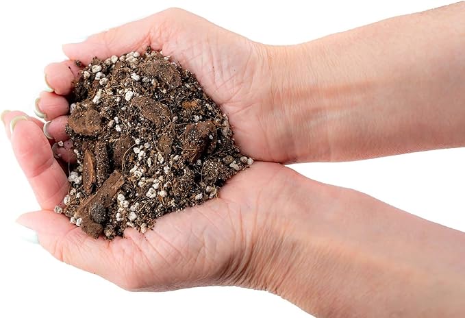 Gardenera's Expert Blend for Peace Lilies: Canadian Peat Moss, New Zealand Bark, Perlite, Bamboo Charcoal Ideal for Indoor Plants - [1-Quart Bag]