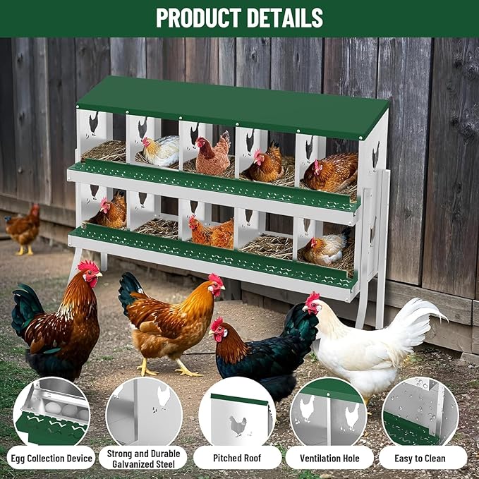 TrailBlaze 10 Compartment Chicken Nesting Box with Metal Legs, Chicken Egg Laying Boxes with Rollout Egg Collection, Large Vented Holes Chicken Coop for Chickens, Hens (Green)