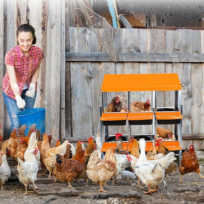 6-Compartments Chicken Nesting Boxes with Roll Out Egg Collection and Large Vented Holes,Metal Nesting Boxes for Chickens, Hens, Ducks,Wall Mount/Freestanding Poultry,Orange