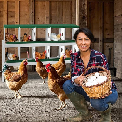 Chicken Nesting Box, Green 10 Hole Egg Laying Box with Bracket, Suitable for Chickens & Ducks, Large Holes for Ventilation, Convenient for Picking up Eggs, Fully Galvanized