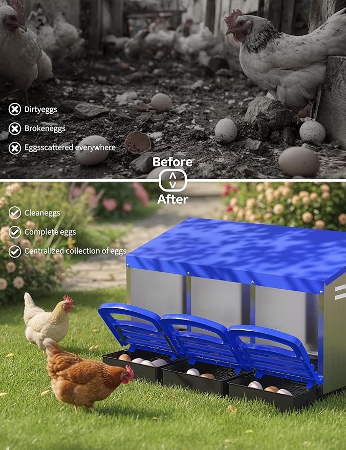 3 Room Chicken Nesting Boxes, 3 Compartment Metal Rollaway Nesting Box for Laying Hens with Cleanable Pull-Out Trays Wall Mount or Placed Design for Chicken Egg Layers