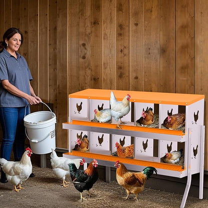 Chicken Nesting Boxes,10 Compartments Galvanized Steel Metal Laying Boxes with Leg,Pull-Out Egg Box Easy Egg Collection & Clean,Wall Mount Suitable for Farm Chicken House,Orange
