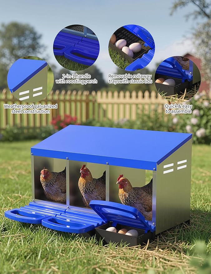 3 Room Chicken Nesting Boxes, 3 Compartment Metal Rollaway Nesting Box for Laying Hens with Cleanable Pull-Out Trays Wall Mount or Placed Design for Chicken Egg Layers