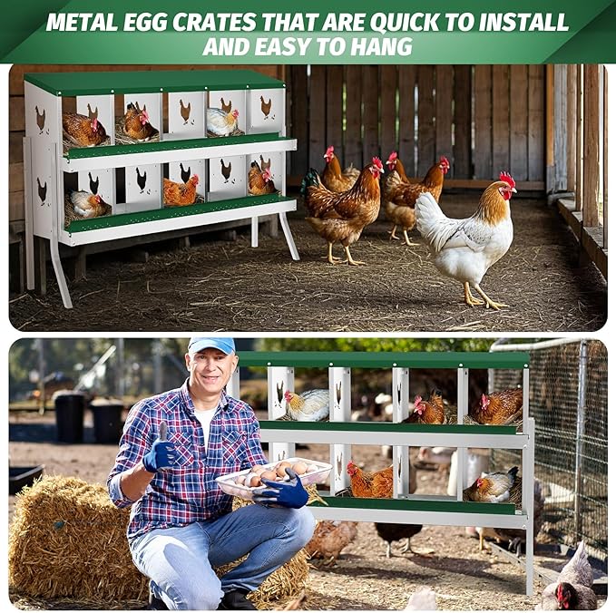 Chicken Nesting Box, Green 10 Hole Egg Laying Box with Bracket, Suitable for Chickens & Ducks, Large Holes for Ventilation, Convenient for Picking up Eggs, Fully Galvanized