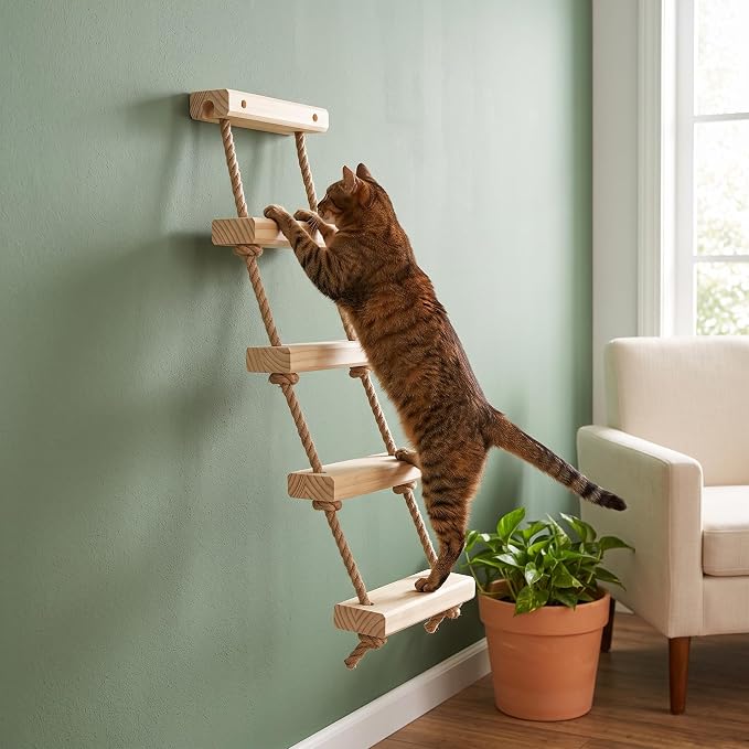 with Shelves for Climbing and Play, Large Jumping Platform