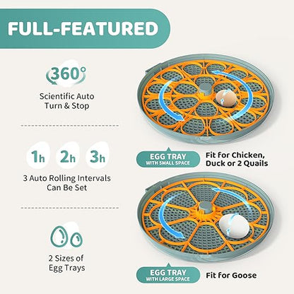 Egg Incubators for Hatching Eggs, Egg Incubator with Automatic Egg Turning and Humidity Control and Temperature Control, 18~36 Eggs Incubator for Chicken & Quail