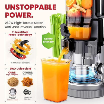 Laudlife Cold Press Juicer with 5.9" Wide Feed Chute, Integrated 100oz Capacity Hopper & Strainer Design, Easy Clean & BPA Free, Slow Masticating Juicer Machines for Whole Fruits Vegetables