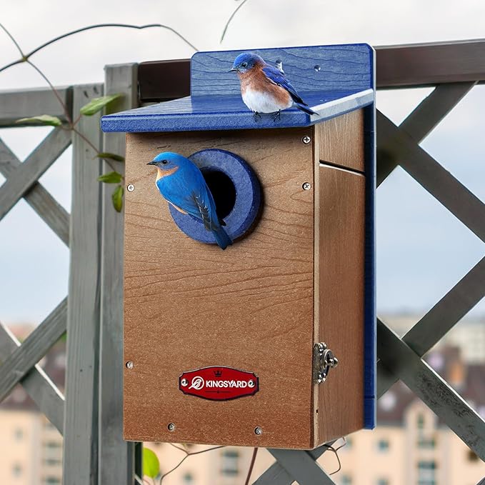 Kingsyard Recycled Plastic Bird House for Outdoor - Durable Nesting Box with Clear View Panel & Predator Guard for Bluebird Wren Swallow Finch, Blue & Brown