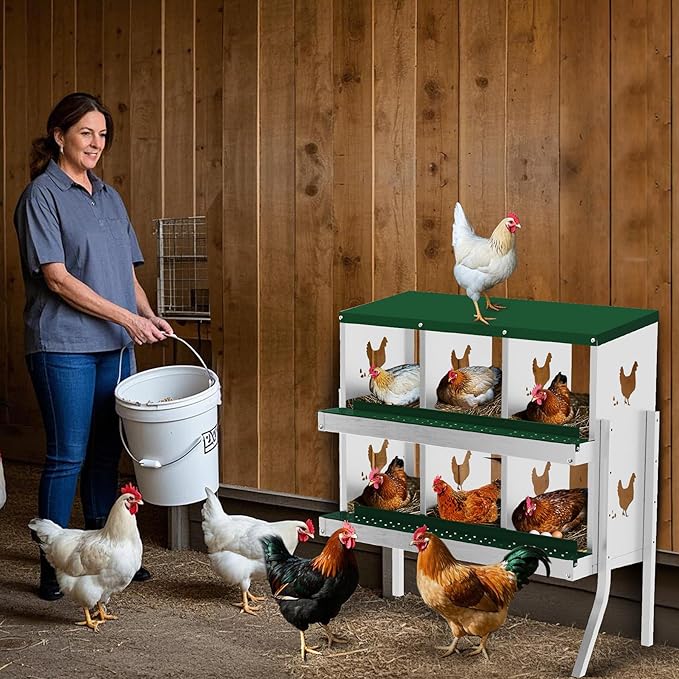 6 Holes Chicken Nesting Boxes, 2 Tiers 6 Compartments Metal Egg Laying Boxes with Legs, Wall Mount or Free Standing, Ventilated for Chickens, Hens, Ducks, Farm, Yard, Poultry Coop Accessories, Green