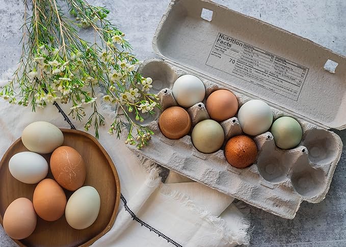 Blank 12-Egg Flat Top Paper Pulp Egg Carton with Nutrition Facts, Safe Handling Info, Optional UPC - 50 Pack