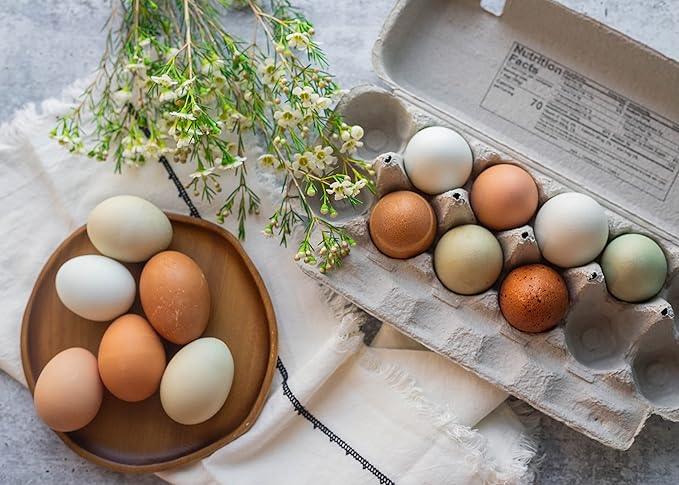 Blank 12-Egg Flat Top Paper Pulp Egg Carton with Nutrition Facts, Safe Handling Info, Optional UPC - 50 Pack