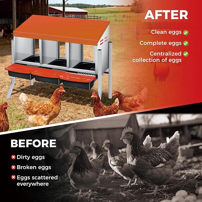 3-Compartment Metal Chicken Nesting Box with Stand – Heavy Duty Poultry Nest Box, Removable Tray & Waterproof Roof – Non-Slip Base, Easy Egg Collection & Wall Mountable – for Backyard, Farm Coop (Oran