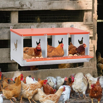 Chicken Nesting Boxes, 3 Rooms Hens Nest Box, Metal Poultry Nest Box Wall Mount for Chickens Egg Laying Box Collection Vented Holes Chicken Coop Cages Equipment, Orange (3 Rooms)