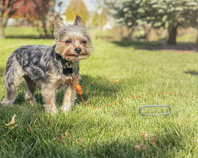 IntelliLeash12FT Tie-Out Cables for Dogs - Strong, Safe, and Durable Dog Tie-Outs for Small Dogs up to 10 Pounds - Weather and Wear Resistant Galvanized Aircraft Cable for Outside Use