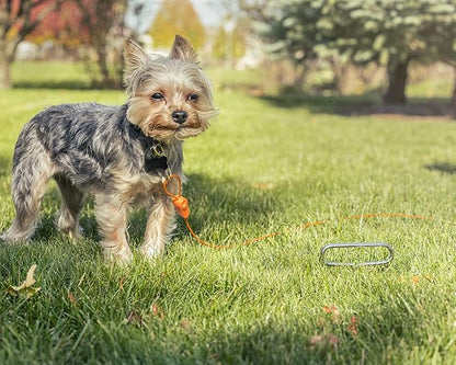 IntelliLeash12FT Tie-Out Cables for Dogs - Strong, Safe, and Durable Dog Tie-Outs for Small Dogs up to 10 Pounds - Weather and Wear Resistant Galvanized Aircraft Cable for Outside Use