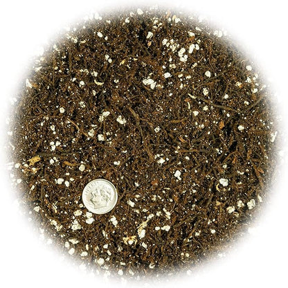 Gardenera Fern + Perlite Soil Mix for Repotting and Planting Succulents and Cactuses - 3 Quart Bag