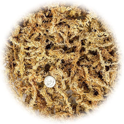 Premium New Zealand Sphagnum Moss by Gardenera - Organic Hand Mixed Long Fibered Sphagnum Moss Orchid - 3 Quart