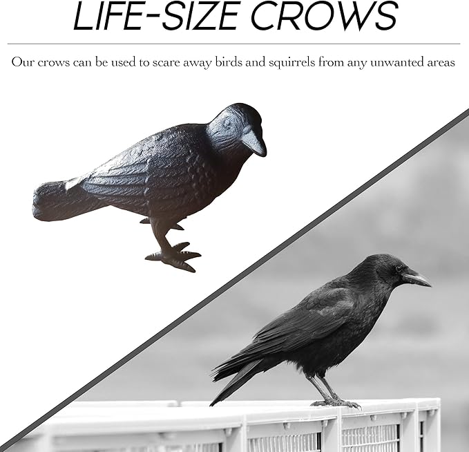 NACH Cast Iron Crow Statue, Head to Side Raven, Large Garden Statues, Crow Garden Sculpture, Bird Figurines Home Decor, Crow Decor, Raven Decor, Black Bird Statue, 4 x 11 x 6.5 inches, JS-90-7115