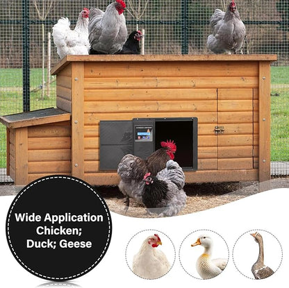 Programmable Chicken Automatic Door with Timer and LCD Display Double Power Supply(USB Charging/Battery Holder) Chicken Coop Door Anti-Pinch Protection for Poultry Black