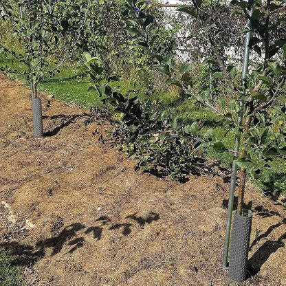 15" Tree Trunk Protectors, Stackable Spiral Tree Guards, Adjustable Width Bark Protection from Weed Eaters, Deer & Rodents, Tall Sapling & Vineyard Vine Protectors, Durable Plastic (6, Slate)