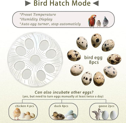 Quail Incubator with Automatic Egg Turning,8 Eggs, Smart Temperature Control, 360°View, Air Vent Circulated, Auto Mini Small Egg Incubator for Hatching Quail Bird Parrot Reptile