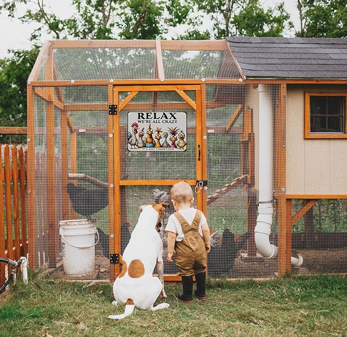 Funny Chicken Gifts Relax We‘re All Crazy It's Not Competition Tin Sign for Home Farm Chicken Coop Farmhouse Kicthen Garden Decor 8 X 12 Inch (3621)
