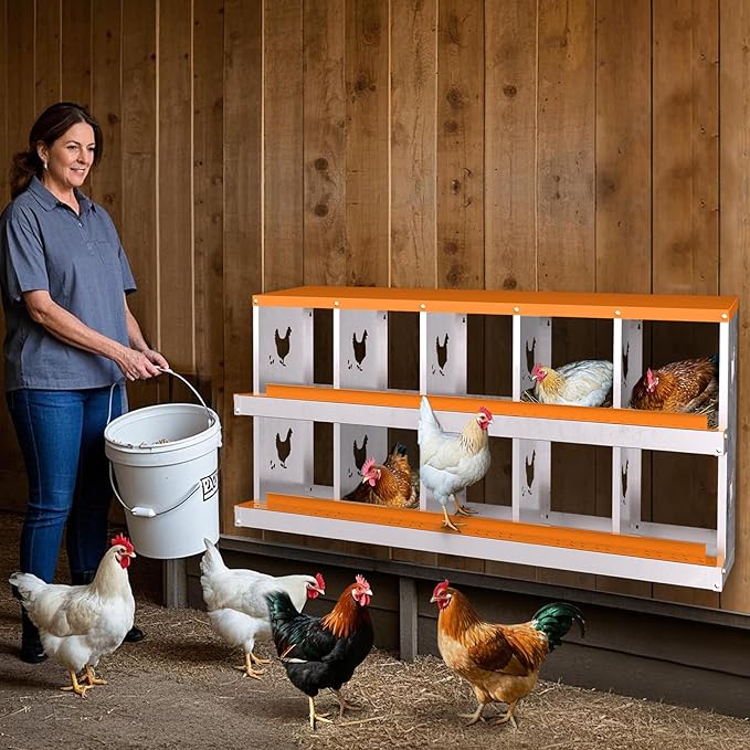10 Compartment Metal Chicken Nesting Box, Automatic Roll-Out Egg Collection, Waterproof Galvanized Steel Laying Box, for Hens Ducks Rabbits, Orange