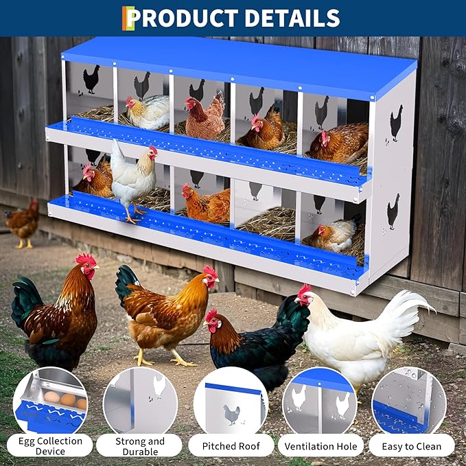 10-Compartment Chicken Nesting Box with Removable Tray - Metal Laying Boxes for Hens - Egg Rollaway Design, Wall Mount Farm Fresh Egg Collector, Hen Roosting Boxes for Chicken Coops