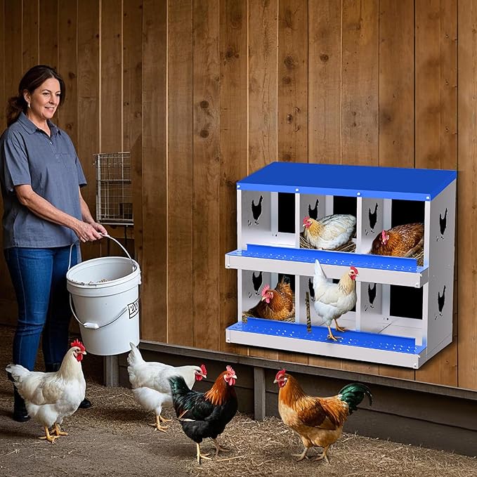 Nesting Boxes for Chickens, Chicken Coop Laying Boxes for Hens with Egg Rollaway System to Protect Eggs, 6/8/10-Hole Galvanized Steel Chicken Nesting Boxes Backyard Farm, Easy to Clean