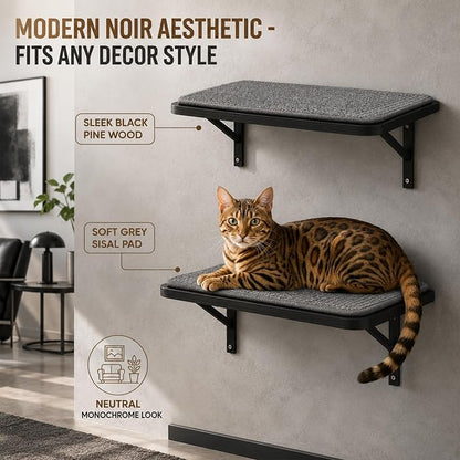 Cat Wall Shelves Set of 2, Black Solid Wood Cat Window Perch with Grey Sisal Cushion, Wall-Mounted Space-Saving Climbing Bed, Lounging Shelf for Kittens & Cats, Black Furniture for Indoor