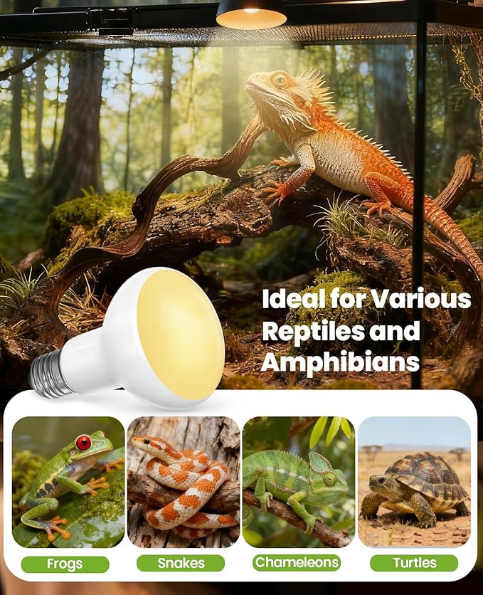 KINDEEP Reptile Basking Light Bulb: 75W Reptile Heat Lamp 2 Pack UVA Daylight Basking Bulb for Amphibian Bearded Dragon Lizard Tortoise Turtle Snake Chicken Pets Heating