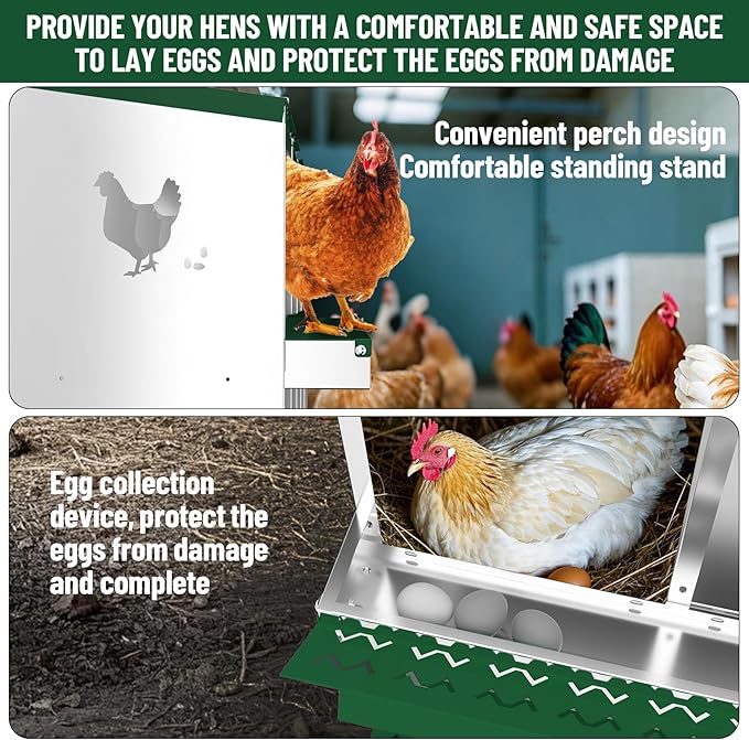 10 Holes Chicken Nesting Boxes, 2 Tiers 10 Compartments Metal Egg Laying Boxes with legs, Wall Mount or Free Standing, Ventilated for Chickens, Hens, Ducks, Farm, Yard, Poultry Coop Accessories, Green