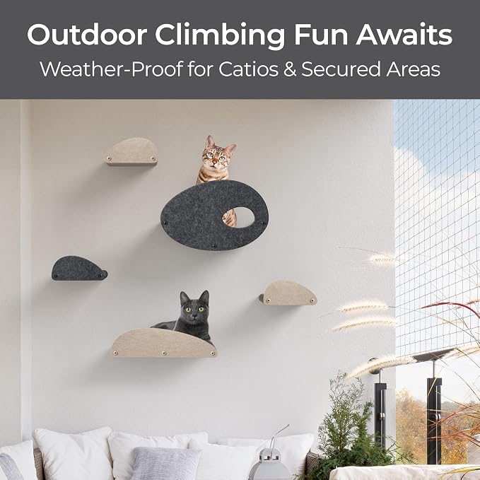 Accessory ADD-ON Curved Shelf Facade Covers Compatible with Cat Wall Shelves by Pryde Pets - 100% Sustainable PET Felt - Climber Sold Seperately - Cats Hammock Privacy and Safety Bumpers (Charcoal)