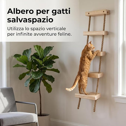 with Shelves for Climbing and Play, Large Jumping Platform