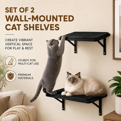Cat Wall Shelves Set of 2, Black Solid Wood Window Perches with Sisal Mats | Removable Black Sisal Mats, Wall-Mounted Cat Furniture for Climbing, Scratching and Lounging, 16.6 x 9.7 Inch