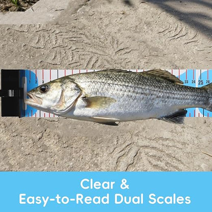Tada 48in/122cm Fishing Ruler Fish Measuring Tape with Bump Board | Portable Roll Up Folding
