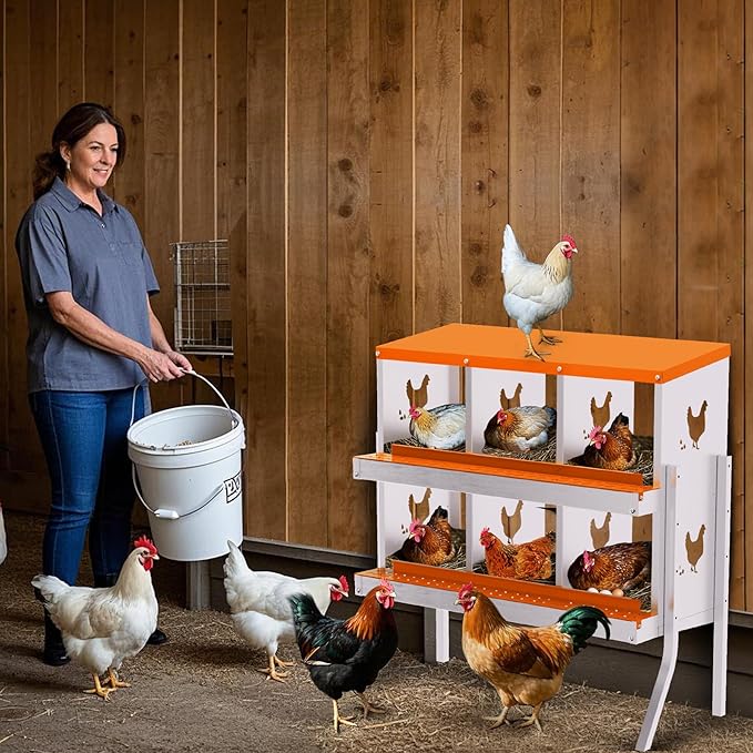 Nesting Boxes for Chickens, Chicken Coop Laying Boxes for Hens with Egg Rollaway System to Protect Eggs, 6/8/10-Hole Galvanized Steel Chicken Nesting Boxes Backyard Farm, Easy to Clean
