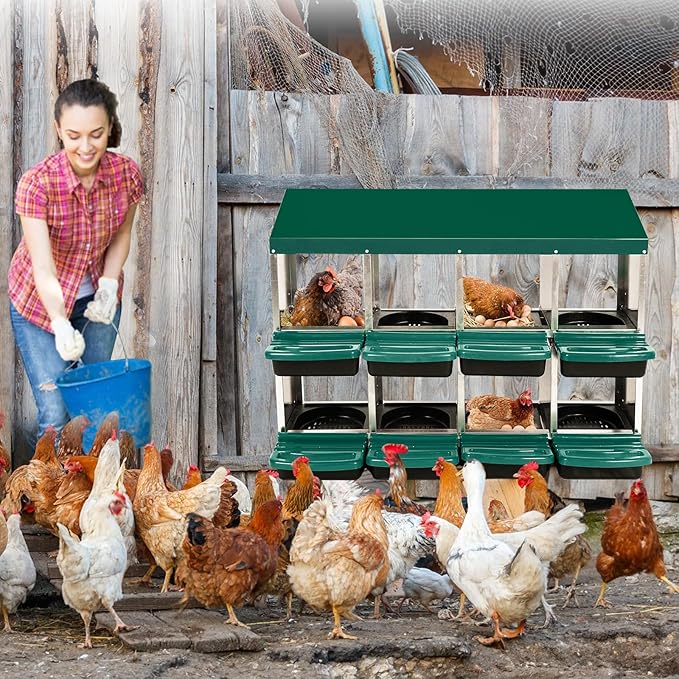 Chicken Nesting Box, 8-Hole Metal Wall Mount Chicken Laying Boxes with Legs and Lid Cover, Easy to Assemble, Roll-Away Egg Design Nesting Boxes for Outdoor Chicken Coop & Farm Yard, Green
