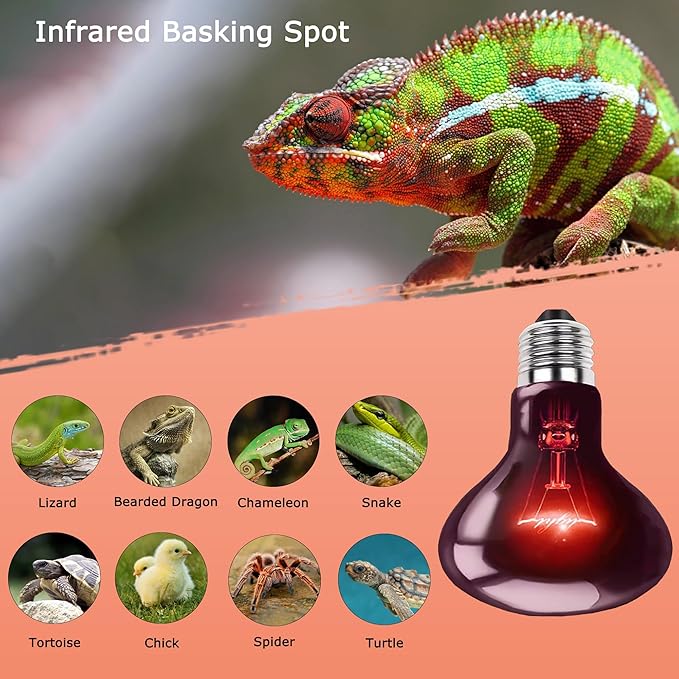 60W Infrared Red Heat Lamp – Basking Spot Bulb for Reptiles, Bearded Dragons, Chameleons, Snakes & Lizards; Ideal Red Heat Emitter for Chickens Coop and Brooder Use, E26 Base | 2 Pack